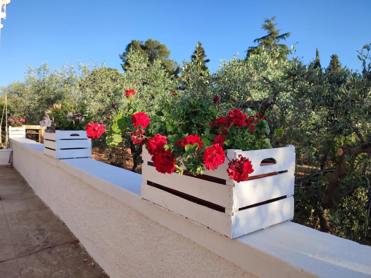 Villa Porta Sugli Ulivi Monopoli Exterior foto
